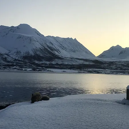 בית נופש Arctic Sea House Svensby